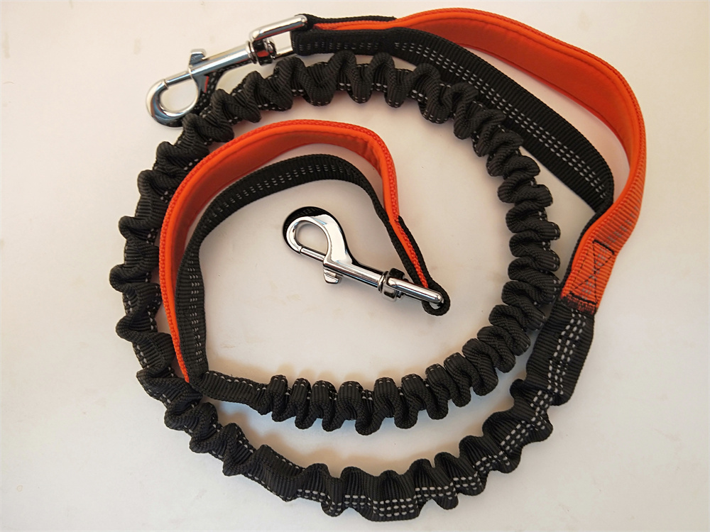 Cyrico Dog Harness Leash Pet Training Running Walking Safety Mountain Climb Dog Leashes Ropes Supply